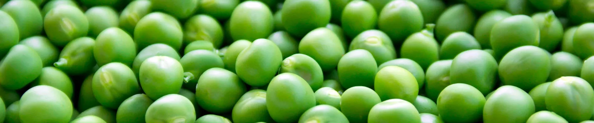 Grow it yourself: Peas