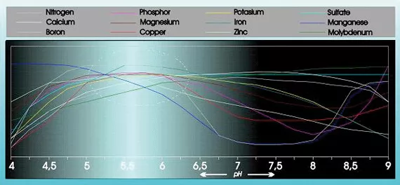 pH acidity: what it does to your plants