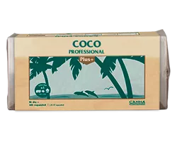 Coir: Common forms and applications of coco