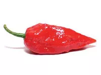 Grow it yourself: Ghost Pepper