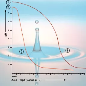 How does pH affect plant growth