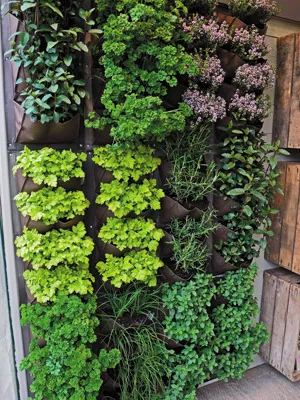 Wall gardens