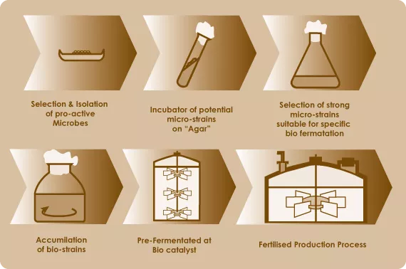 The what’s and whys of organic growing - part 2