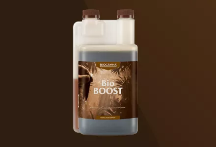 BioBOOST