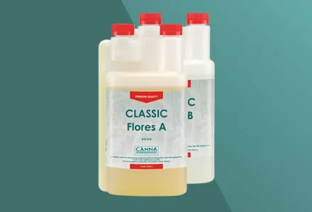 CANNA Classic Flores