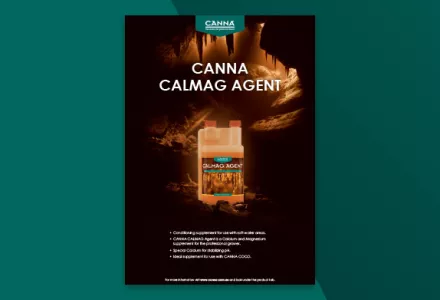 CALMAG AGENT Leaflet