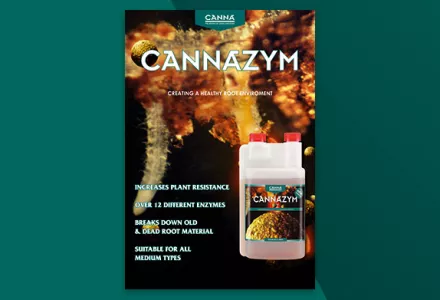 CANNAZYM Leaflet