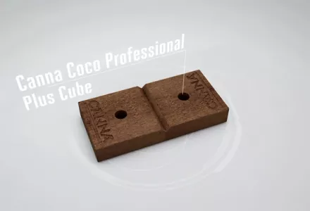 CANNA Coco Professional Plus Cube