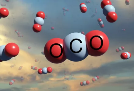 CO2, building blocks for plants