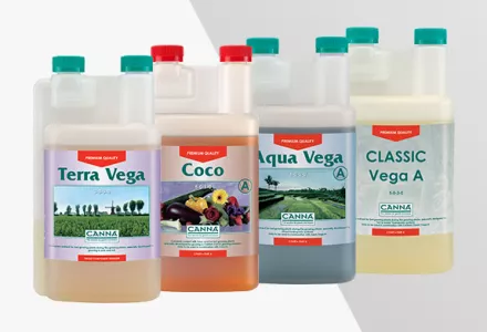 CANNA Product Images